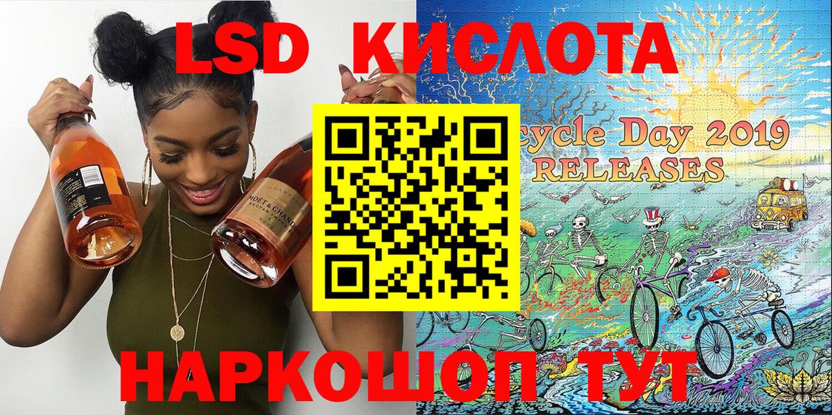 МЕФ Санкт-Петербург