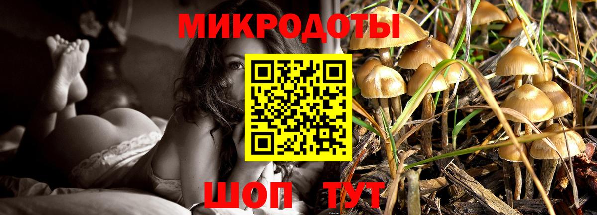 Галлюциногенные грибы мухоморы Санкт-Петербург