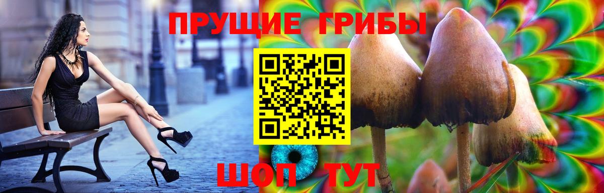 Псилоцибиновые грибы прущие грибы  Вход с VPN  где купить наркотик  Санкт-Петербург 